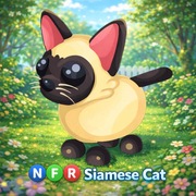Adopt Me – NFR Siamese Cat | Neon Fly Ride | Roblox