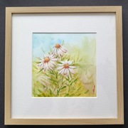 obraz akwarela "Rumianeczki"