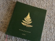 Nutny pamiętnik DOMOWE MELODIE z płytą