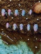 Paznokcie press on nails handmade tipsy