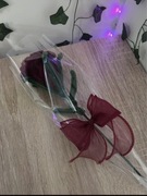 Róża z drucików kreatywnych