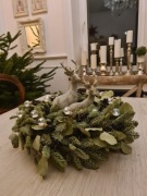 Wianek żywy nobilis, eukaliptus