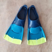 Płetwy Nabaiji r: 35-36: 31 cm