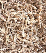 Mech torfowiec sphagnum moss 4 litry anthurium monstera