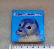 Magnes na lodówkę Skegness Natureland foka