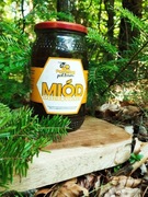 Miód spadziowy iglasty z Bieszczad