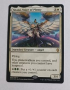 Shalai, Voice of Plenty Dominaria
