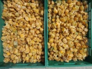 Miechunka 1kg miechunka peruwiańska świeże owoce 