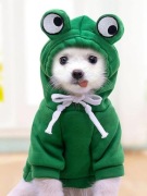 Funny Hoddie Dog-stroje dla psów dla zwierząt-śmie