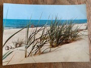 Karta pocztowa pocztówka Nad Bałtykiem