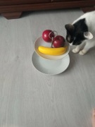 patera piętrowa porcelanowa