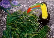 Obraz "Tukan" 50x70 akryl na płótnie