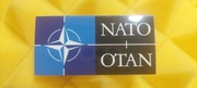 NATO POLSKA NAKLEJKA STICKER 