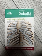 Flashcards anatomia Sobotta 