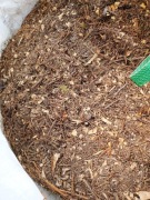 Zrębki drzewne z drzew iglastych (świerk)