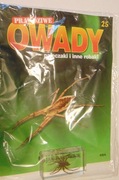 Prawdziwe Owady nr 25 Pająk Darownik