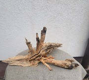 Korzeń do terrarium długość 60cm