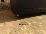 Regał Ikea z szufladami na kółkach