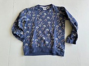 Bluza Bugs Bunny Królik Bugs 116-122cm 6-7lat #1785