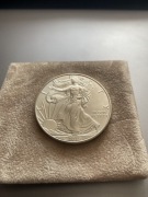 Orzeł Amerykański 2019 - 1 oz Srebra (999)