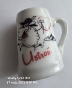 Magnes na lodówkę ceramiczny USTROŃ Baca owce Góral Tatry Zakopane(16) 