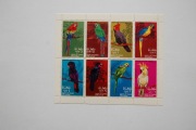 Oman** - papugi (minisheet)