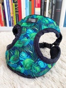 smycz dla kota małego psa smyczka uprząż harness szelki jungle cat