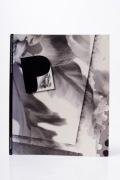 Polaroid International Photography