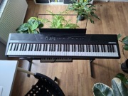 Pianino cyfrowe Alesis Recital