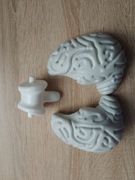 Mózg kostek szkielet ciało człowieka National Geographic