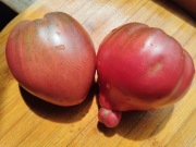 CHEROKEE PURPLE HEART Pomidor Kolekcjonerski