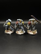 Grey Hunters Space Wolves pomalowane
