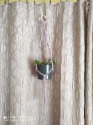 Kwietnik makramowy "Ceropegia +"