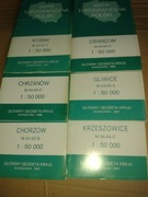 Główny geodeta kraju mapa topograficza Rybnik