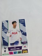 Sprzedam karte panini premier league 331