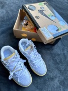 Nike dunk off white