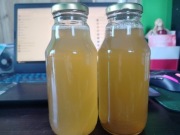 Syrop z pędów sosny z przy, zbiorów bez oprysków i nawozów 330ml 