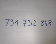 Złoty numer łatwy prosty. 731-732-848