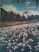 Magazyn turystyczny - Światowid nr 14 (206) z 04.04.1965