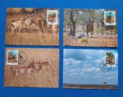 Zestaw 4 szt. widokówki widokówka WWF Mozambik bawolec