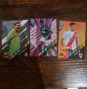 Karty Panini Fifa 365 2024