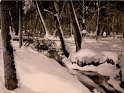 Białowieża Rzeczka Orłówka