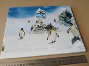 Snow Penguins at Ski Dubai album na zdjęcia