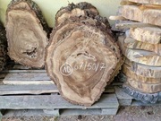 Plaster Drewna Orzech Włoski z czeczotą 67/50/7 cm Blat Stolik Żywica DIY