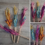 Palma palmy wielkanocne naturalne kolorowe zboża trawy