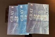 Anatomia Gray Pytania testowe Tom I-III idealne do anatomii
