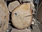 DĄB 74/60/8 cm Blat Plaster Drewna Stolik Żywica DIY Wysuszony