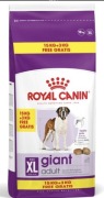 Giant adult  royal canin 