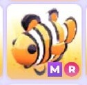 Adopt me! Clownfish MEGA, ride