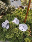 Biedronka zestaw dekoracja ozdoba ogród metal